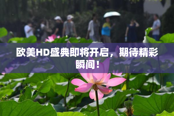 欧美HD盛典即将开启，期待精彩瞬间！