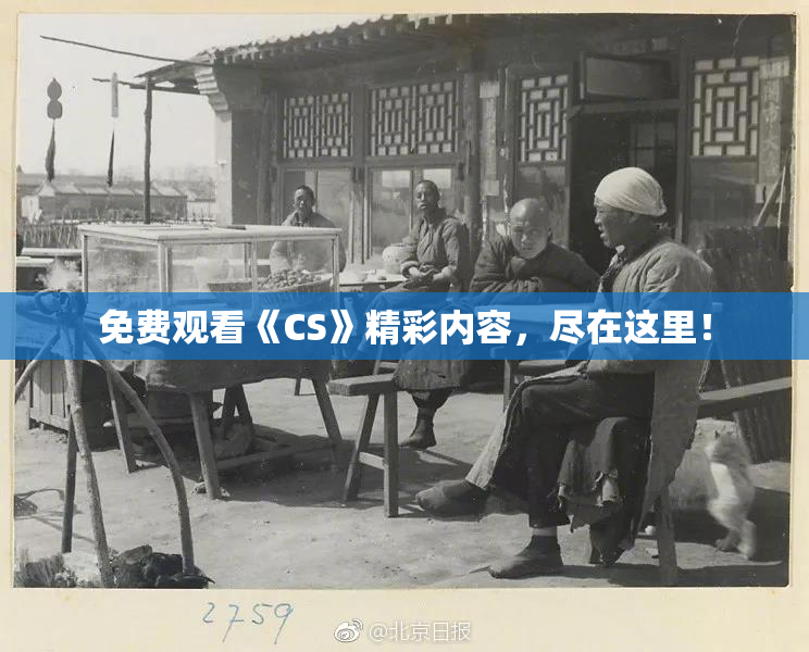 免费观看《CS》精彩内容，尽在这里！
