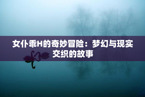 女仆乖H的奇妙冒险：梦幻与现实交织的故事
