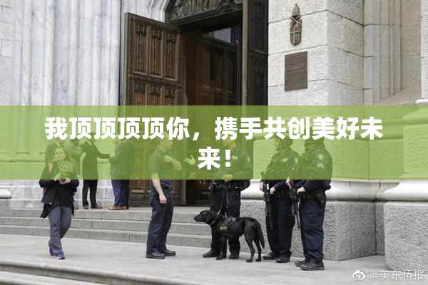 我顶顶顶顶你，携手共创美好未来！