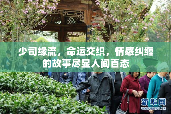 少司缘流，命运交织，情感纠缠的故事尽显人间百态