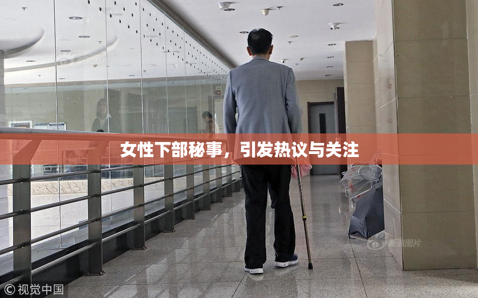 女性下部秘事，引发热议与关注