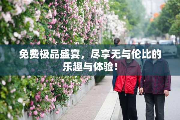 免费极品盛宴，尽享无与伦比的乐趣与体验！
