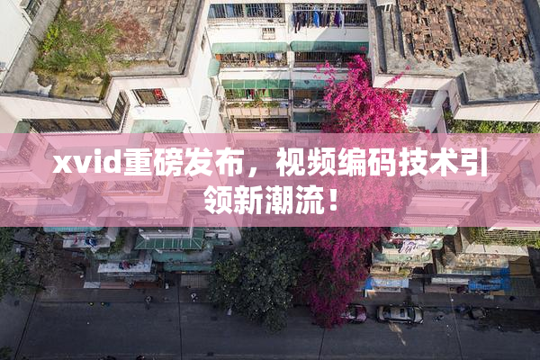 xvid重磅发布，视频编码技术引领新潮流！