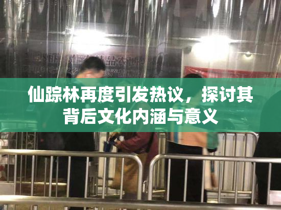 仙踪林再度引发热议，探讨其背后文化内涵与意义