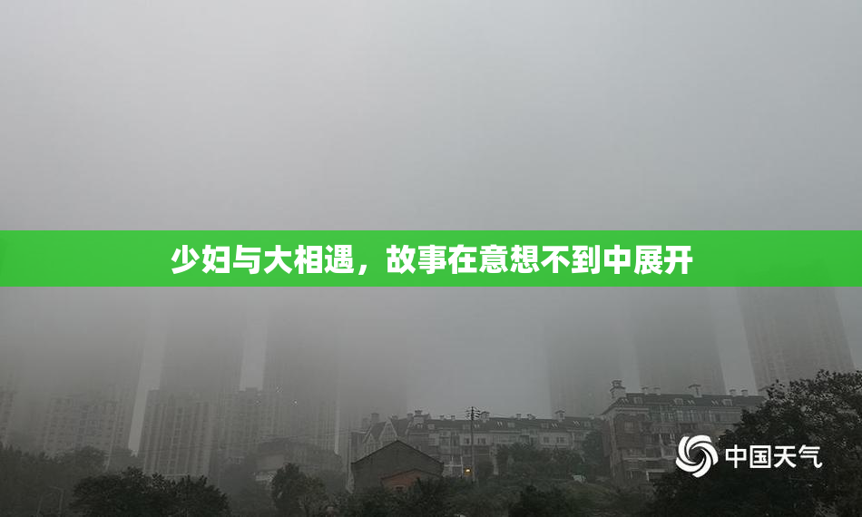 少妇与大相遇，故事在意想不到中展开