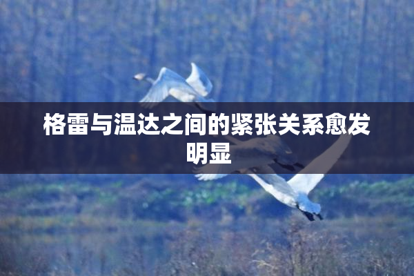 格雷与温达之间的紧张关系愈发明显