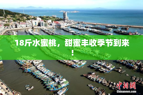 18斤水蜜桃，甜蜜丰收季节到来！