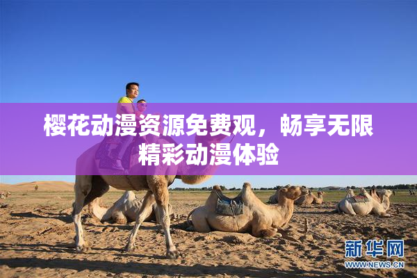 樱花动漫资源免费观，畅享无限精彩动漫体验