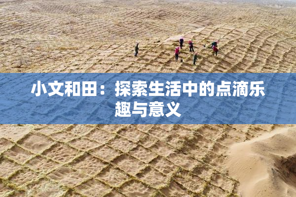 小文和田：探索生活中的点滴乐趣与意义