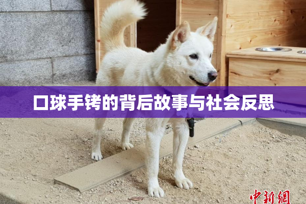 口球手铐的背后故事与社会反思