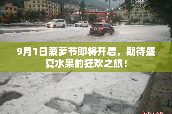 9月1日菠萝节即将开启，期待盛夏水果的狂欢之旅！