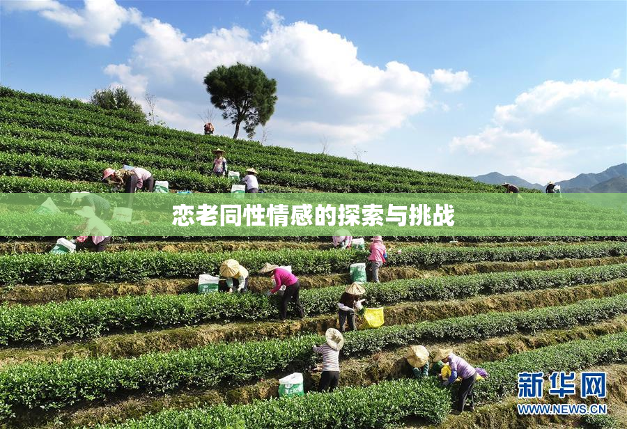 恋老同性情感的探索与挑战