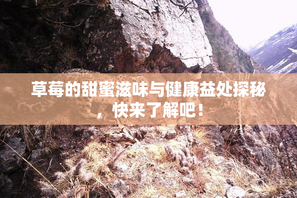 草莓的甜蜜滋味与健康益处探秘，快来了解吧！
