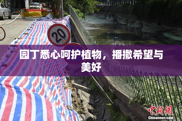 园丁悉心呵护植物，播撒希望与美好
