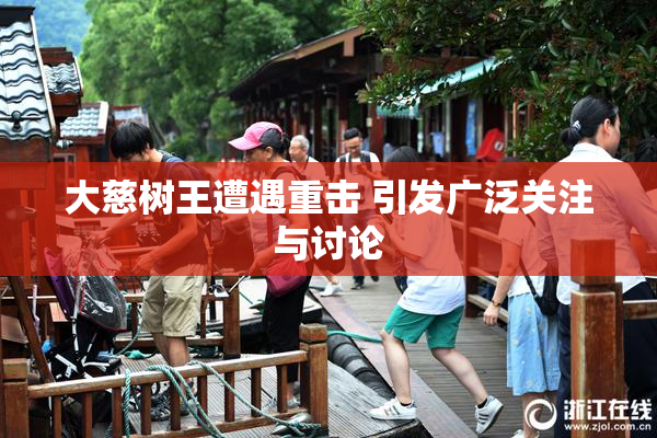 大慈树王遭遇重击 引发广泛关注与讨论