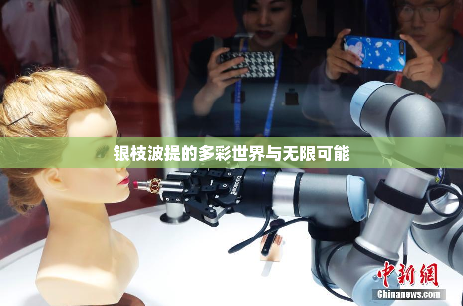 银枝波提的多彩世界与无限可能