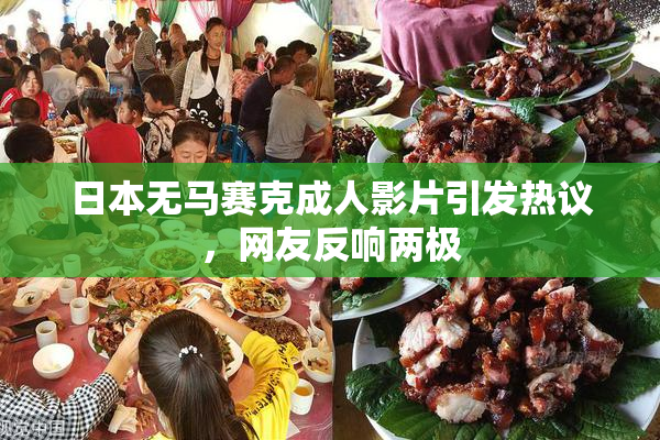 日本无马赛克成人影片引发热议，网友反响两极