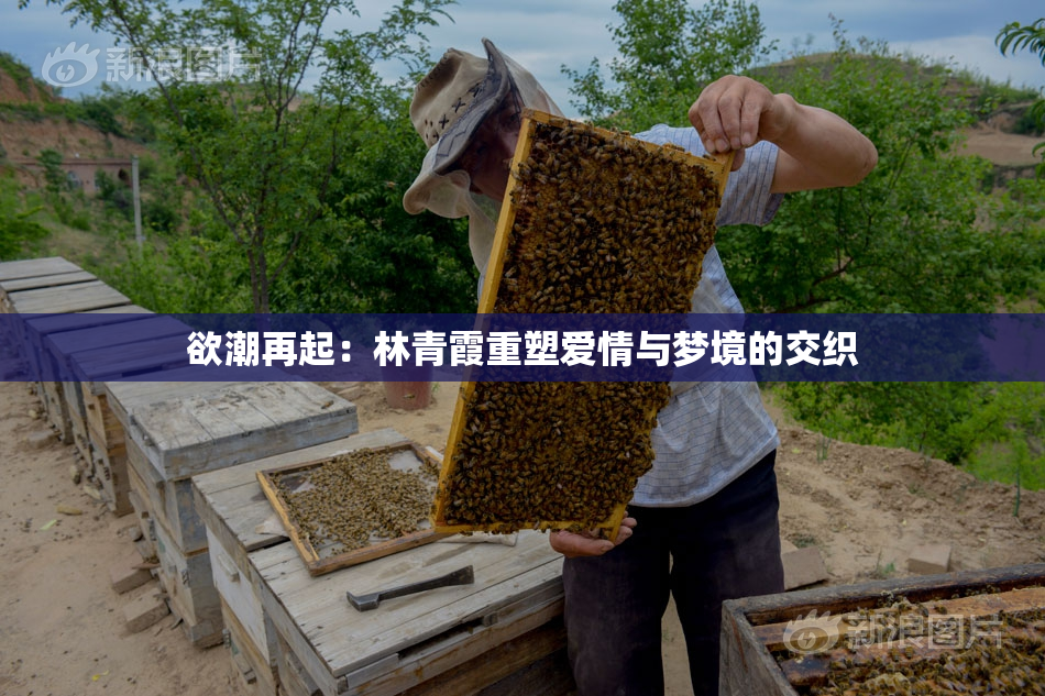 欲潮再起：林青霞重塑爱情与梦境的交织