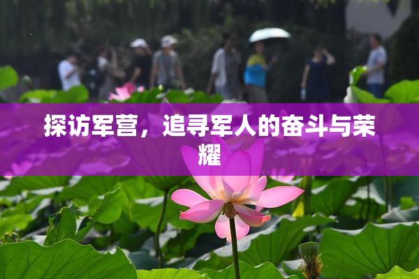 探访军营，追寻军人的奋斗与荣耀