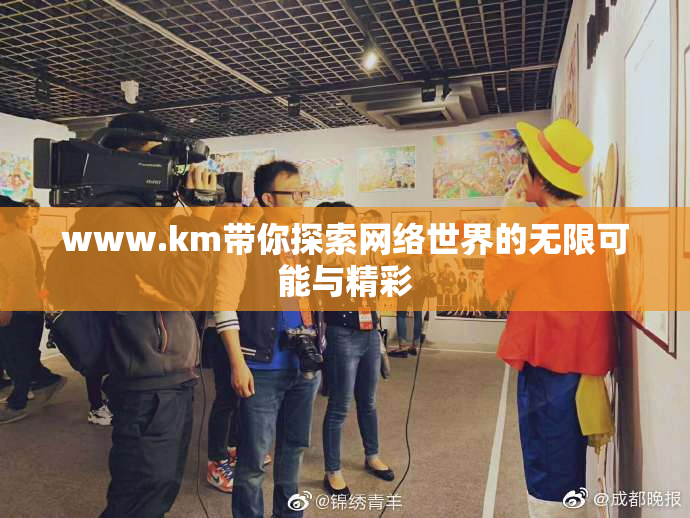 www.km带你探索网络世界的无限可能与精彩