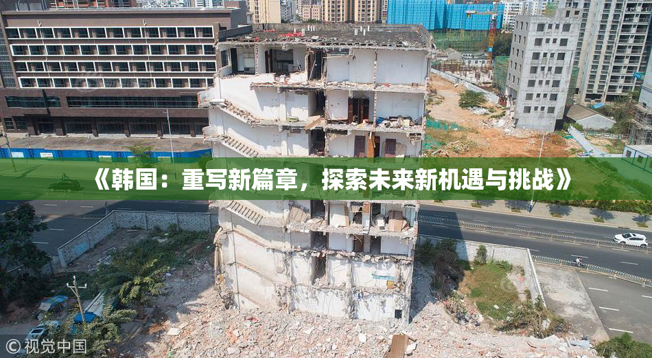 《韩国：重写新篇章，探索未来新机遇与挑战》