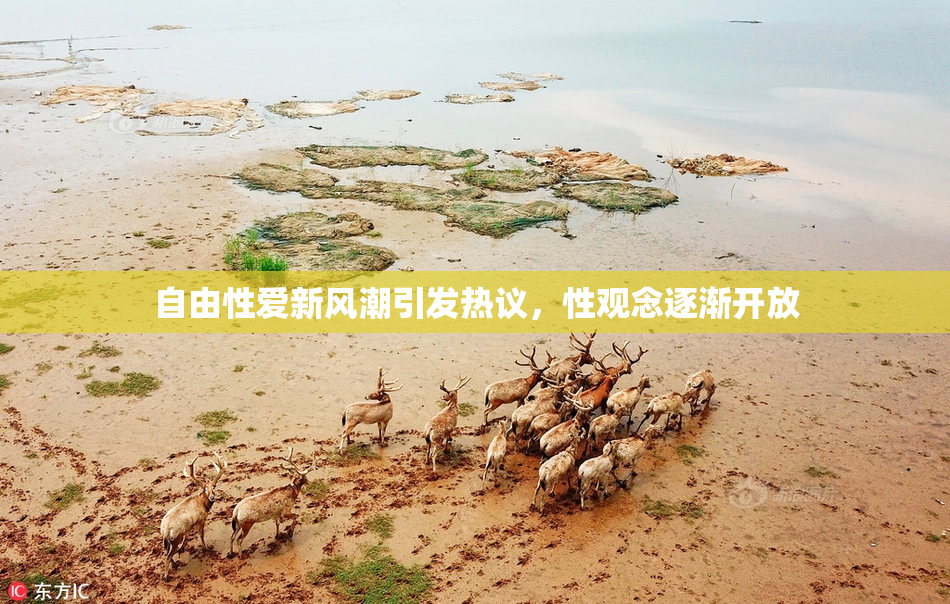 自由性爱新风潮引发热议，性观念逐渐开放