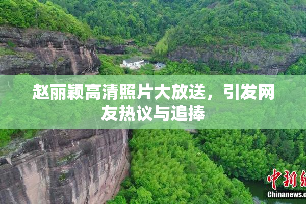 赵丽颖高清照片大放送，引发网友热议与追捧