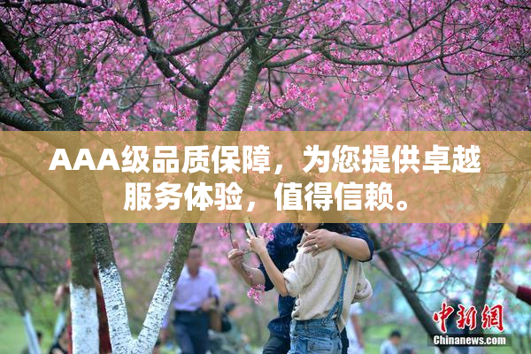 AAA级品质保障，为您提供卓越服务体验，值得信赖。