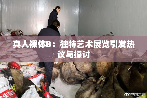 真人裸体B：独特艺术展览引发热议与探讨