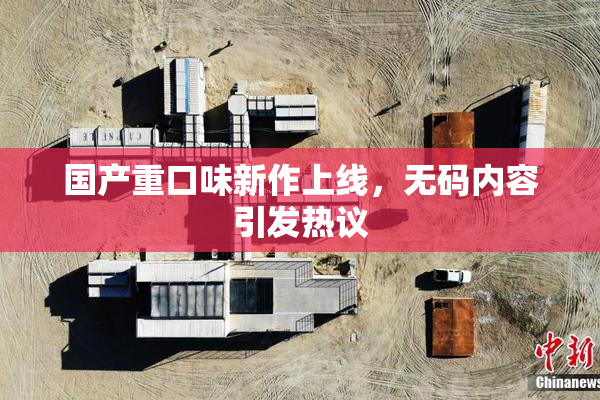 国产重口味新作上线，无码内容引发热议