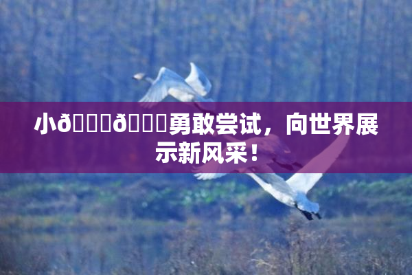小🐔🐔勇敢尝试，向世界展示新风采！