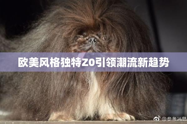 欧美风格独特Z0引领潮流新趋势