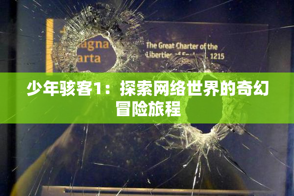 少年骇客1：探索网络世界的奇幻冒险旅程
