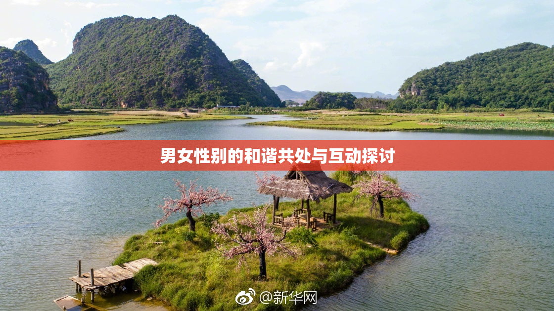 男女性别的和谐共处与互动探讨