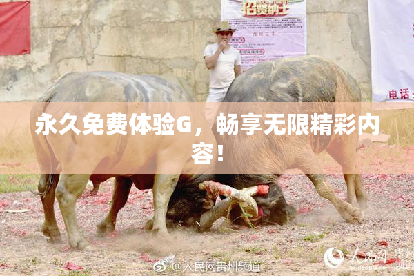 永久免费体验G，畅享无限精彩内容！