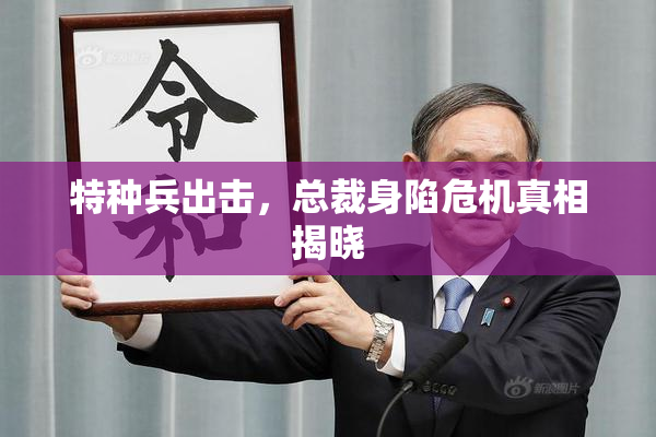特种兵出击，总裁身陷危机真相揭晓