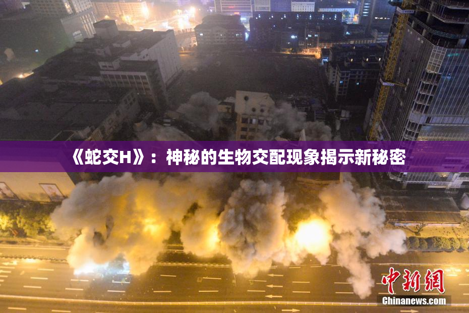 《蛇交H》：神秘的生物交配现象揭示新秘密
