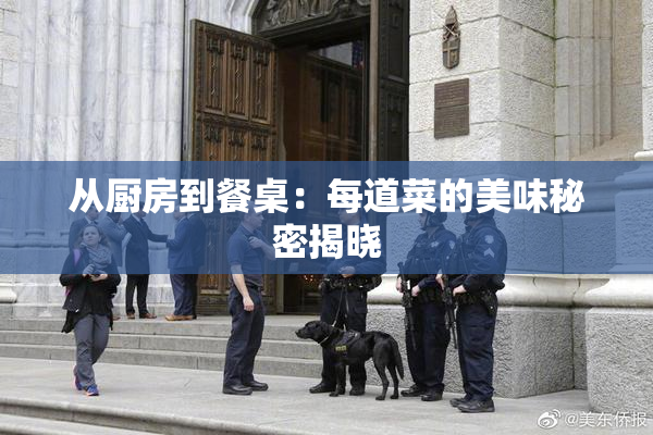 从厨房到餐桌：每道菜的美味秘密揭晓