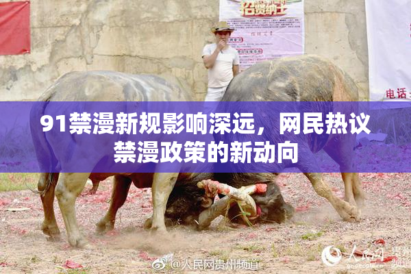 91禁漫新规影响深远，网民热议禁漫政策的新动向