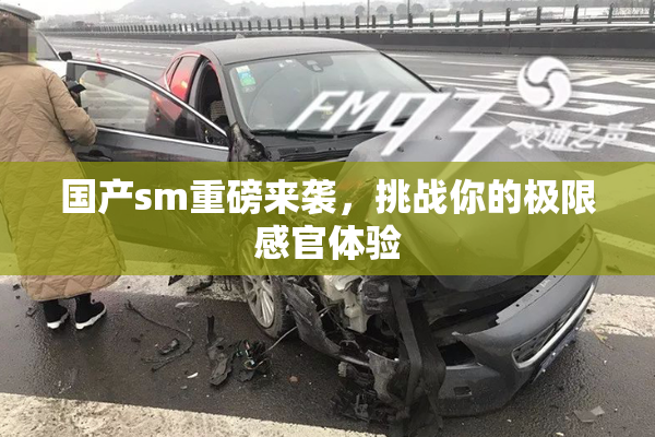 国产sm重磅来袭，挑战你的极限感官体验