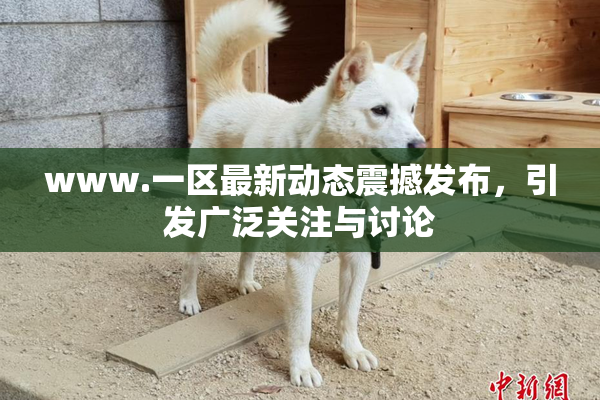 www.一区最新动态震撼发布，引发广泛关注与讨论