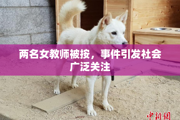两名女教师被按，事件引发社会广泛关注