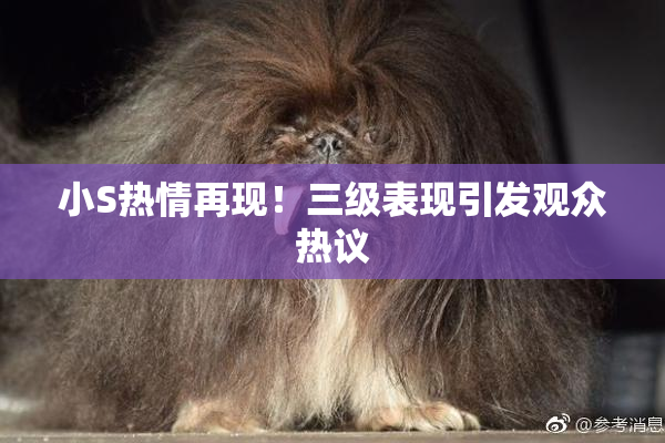 小S热情再现！三级表现引发观众热议