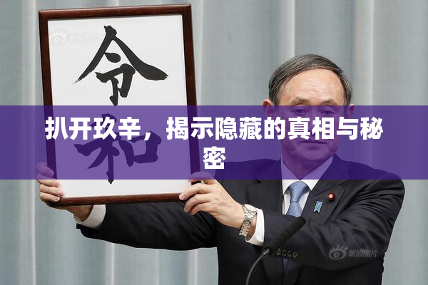 扒开玖辛，揭示隐藏的真相与秘密