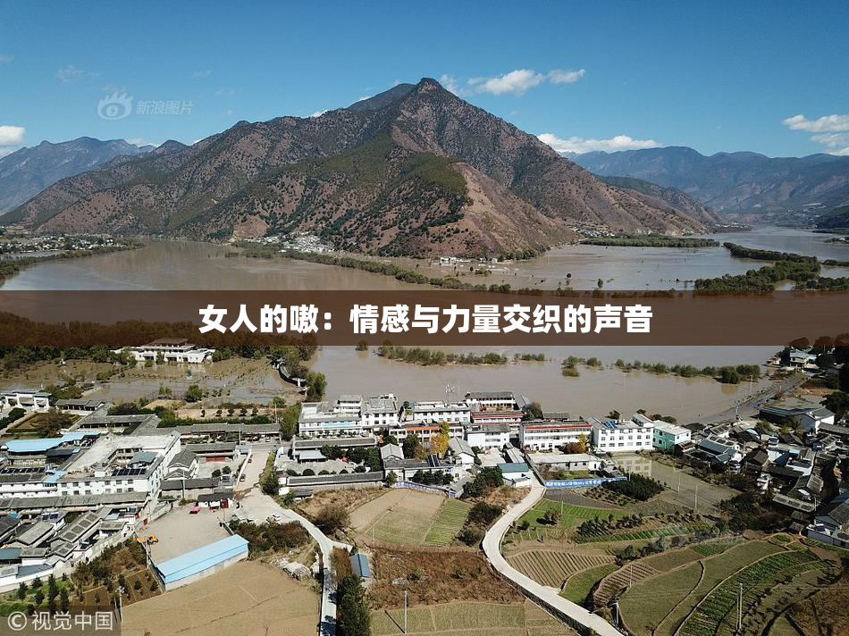 女人的嗷：情感与力量交织的声音