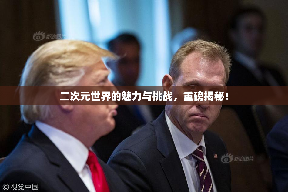 二次元世界的魅力与挑战，重磅揭秘！