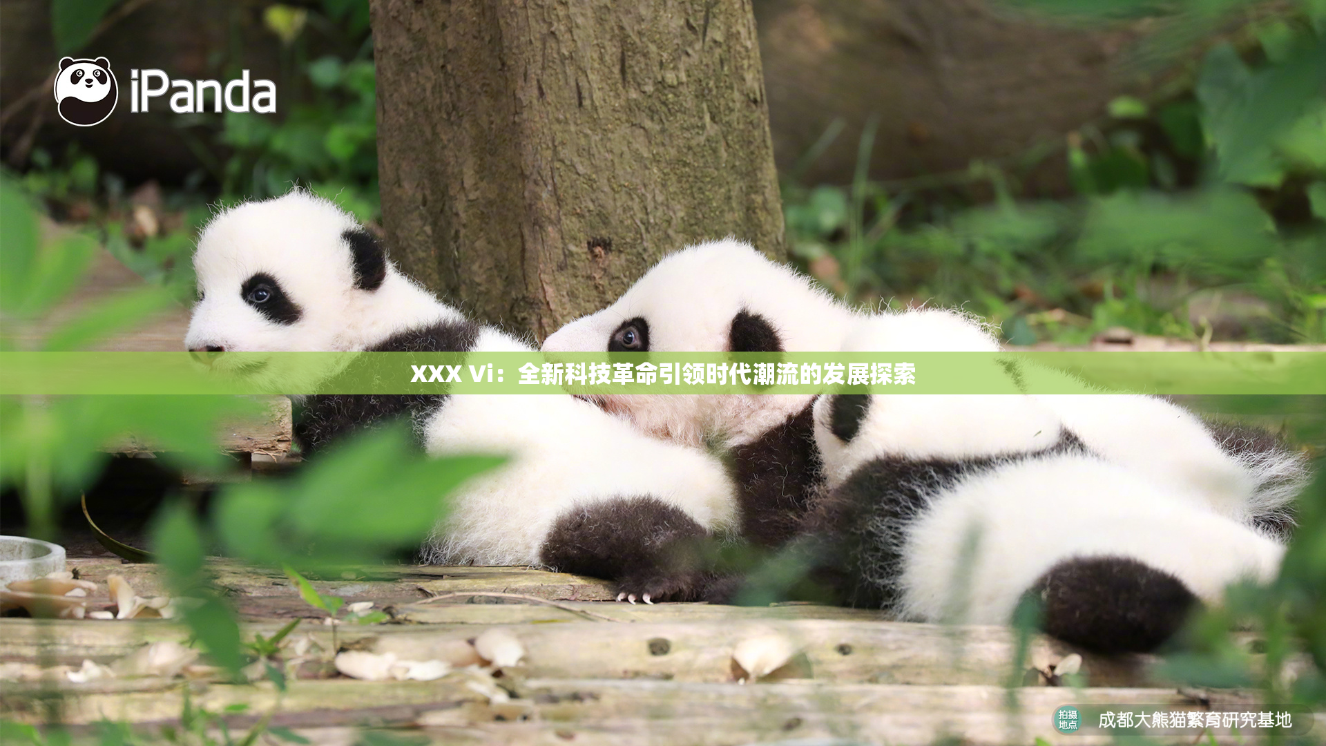 XXX Vi：全新科技革命引领时代潮流的发展探索