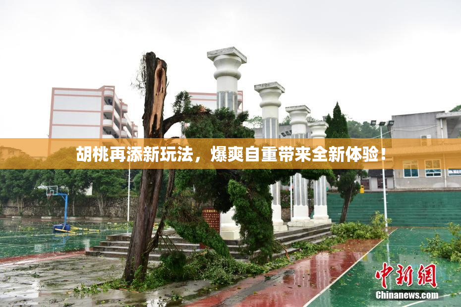 胡桃再添新玩法，爆爽自重带来全新体验！