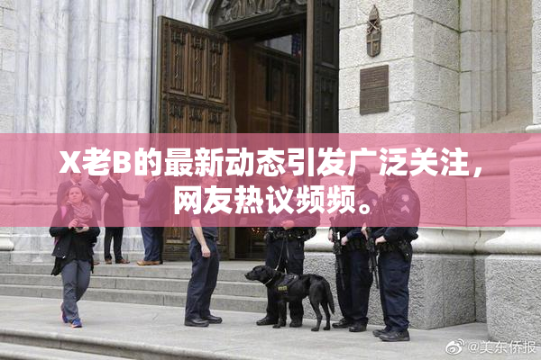 X老B的最新动态引发广泛关注，网友热议频频。
